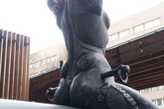 Jänku ja Notsu